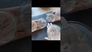 Bacterial Culture Microbiology  Biotechnology [upl. by Daub]