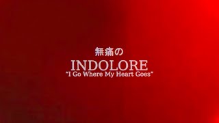 INDOLORE  I Go Where My Heart Goes to Japan [upl. by Sumedocin757]