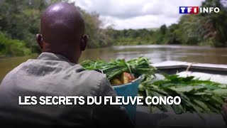 À la découverte des secrets du fleuve Congo [upl. by Thurlough]