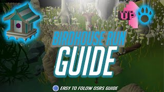 OSRS  Birdhouse run  Hunter guide [upl. by Anum517]