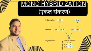 एकल संकरण  Mono Hybridization  Jeevan Aur Vigyaan  By SP Sir [upl. by Torre801]