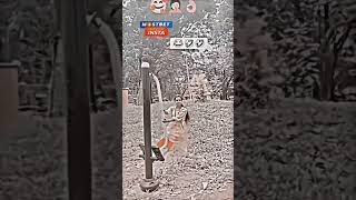 avdhesh Premi ke gana Bhojpuri Film 🥀 लगावे खातिर रहता आपका हमारा के 74 सेवा2024 [upl. by Pinsky]