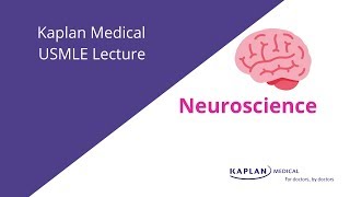 USMLE Prep Neuroscience Lecture [upl. by Marl]