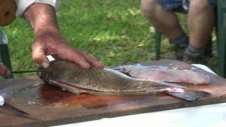 How to Fillet a Redfish [upl. by Korwun]