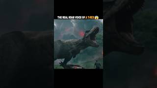 THIS IS THE REAL ROAR VOICE OF TREX 🧐 [upl. by Terrena621]