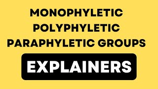 Monophyletic Polyphyletic and Paraphyletic Groups  Explainers series [upl. by Llekram]