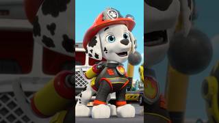 PAW Patrol visits Rubble amp Crew RubbleAndCrew [upl. by Aehtorod329]