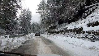 Mashobra Snowfall in Shimla  Himachal Pradesh India [upl. by Ellesirg997]