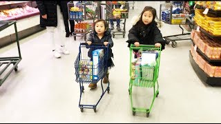 Sisters Grocery Shopping at the Supermarket  Shopping for Disney Princess Cereal [upl. by Iccir]