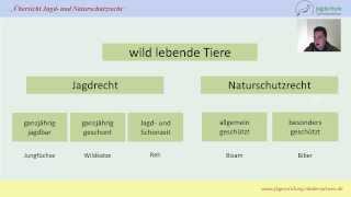 Jägerprüfung Niedersachsen Übersicht Jagd und Naturschutzrecht [upl. by Egag823]