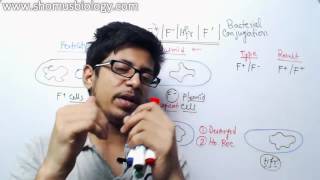 Bacterial Conjugation  Hfr f prime and f plasmid [upl. by Neitsirhc]