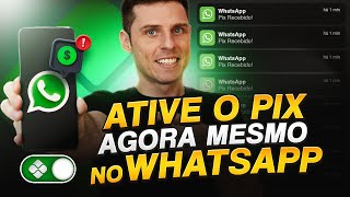 Dinheiro via PIX no WhatsApp  Como Receber via Pix e Cartão de Crédito no WhatsApp Business [upl. by Severin]