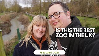 Why YOU should visit Colchester Zoo  February 2024 [upl. by Adnilim]