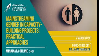 Minamata Online Mainstreaming gender in capacitybuilding projects [upl. by Nahtanod]