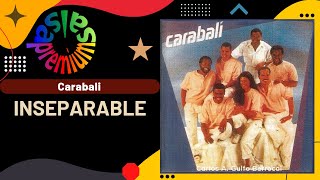 🔥INSEPARABLE por CARABALI  Salsa Premium [upl. by Aicerg]