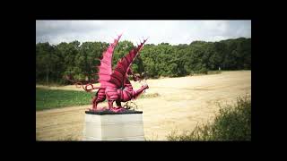 Words From Mametz Wood 7th July  12th July 1916 [upl. by Rollin318]