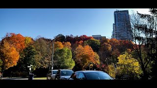 Wilket Creek Park  Autumn Walk Oct 21 2024  Toronto Ontario Canada [upl. by Faxan]