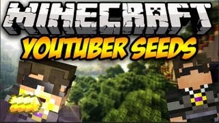 Minecraft Seed Spotlight quotSkyDoesMinecraftquot  YouTuber Seeds 1 [upl. by Annaerb]