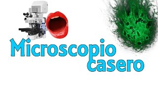 ¿Qué hay en tu boca  Microscopio láser casero Experimentos Caseros [upl. by Dahraf]