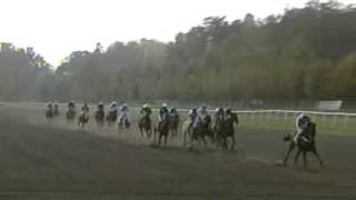 Velka Pardubice 2008  full race [upl. by Eidson]