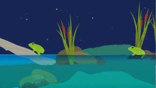 Frog Life Cycle Animation [upl. by Anhcar45]