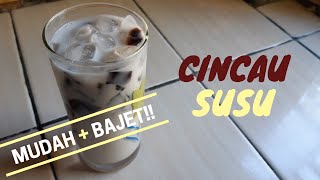 CARA MEMBUAT CINCAU SUSU PALING MUDAH BAJET [upl. by Fenelia531]