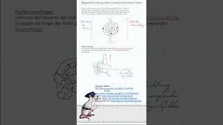 Elektrizitätslehre  Magnetfeld eines stromdurchflossenen Leiters shorts physik elektrizität [upl. by Nnyletak]