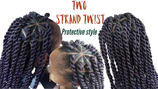 How toTwo Strand Twist Rubber Band Method  Protective Style [upl. by Dranik]