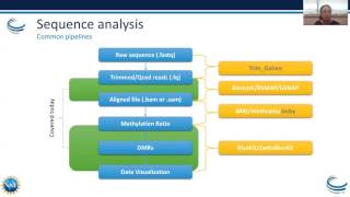 Webinar Epigenetics Part I – Bisulfite Sequence Analysis and Adenosine to Inosine Modifications [upl. by Ecinej]