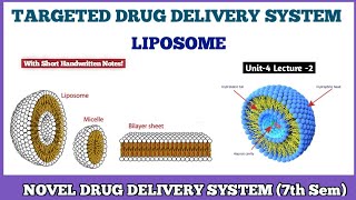 LIPOSOME  Targeted Drug Delivery System TDDS  Novel Drug Delivery System 7th semester [upl. by Giverin]