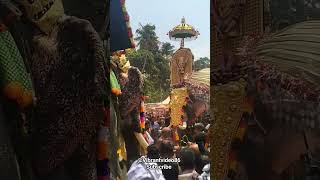 🐘Upacharam cholli Piriyal Arattupuzha pooram🔥💞viral pooram trending 2024 kerala india temple [upl. by Ynohtnaeoj439]