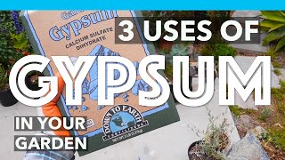 3 Uses amp Benefits of adding GYPSUM to your Garden soil [upl. by Einaej722]