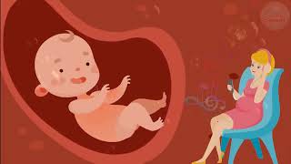 🎵🎵🎵 Pregnancy music for unborn baby ♥ Brain development ♥ Baby kick in the womb 🎵🎵🎵 [upl. by Ahsiekin]