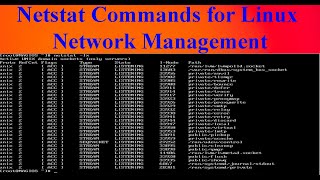 Netstat Commands for Linux Network Management  ITTrainingsByUmarDraz [upl. by Fortin892]