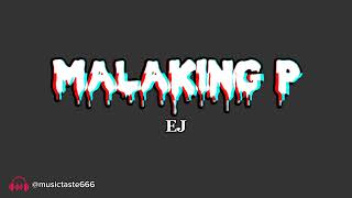 Malaking P  EJ Rich N Remix Lyrics [upl. by Saimerej]