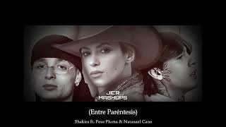 Shakira  Entre Paréntesis ft Peso Pluma amp Natanael Cano  AI COVER [upl. by Gnek]