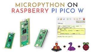 How to install Micropython on Raspberry Pi Pico W [upl. by Haorbed]