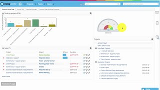 Basic Project Management [upl. by Ytirahc]