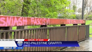 ProPalestine graffiti showing up across Chico [upl. by Og]