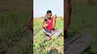 shorts kala naag neelkamal singh bhojpuri song 😃 basant raj akela shorts [upl. by Nosredneh]