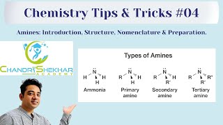 AMINES  INTRODUCTION STRUCTURE amp PREPARATION [upl. by Ilehs]