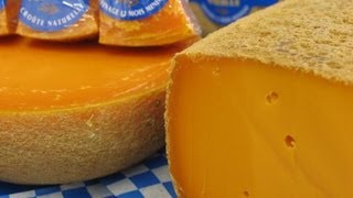 French cheeses for mimolette [upl. by Aratehs]