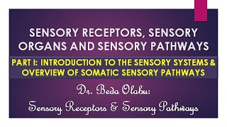 INTRODUCTION TO THE SENSORY RECEPTORS amp OVERVIEW OF SOMATIC SENSORY PATHWAYS [upl. by Enilatan899]