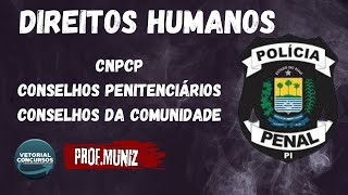 Direitos Humanos CNPCPConselho PenitenciárioConselho da Comunidade PPPI [upl. by Ensoll]