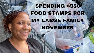 SPENDING 950 FOOD STAMPS FOR MY LARGE FAMILY NOVEMBER [upl. by Auginahs982]