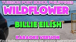 BILLIE EILISH  WILDFLOWERKARAOKE VERSION KARAOKE wildflower [upl. by Anujra781]