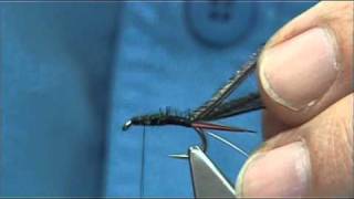 Tying the Flashback Prince Nymph by Davie McPhail [upl. by Euqina]