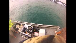 How we land Queenies Crackajack Sportfishing Style Hinchinbrook [upl. by Ardnazxela1]