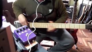 Sisters  Divididos  Bass cover [upl. by Dorothi]