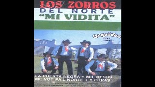 Los Zorros del Norte  Borracho y Perdido [upl. by Goldston]